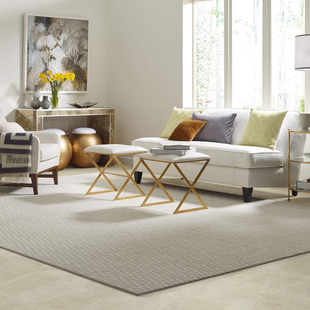 Living Room Rug | Endwell Rug & Floor