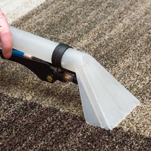 Carpet Cleaning | Endwell Rug & Floor