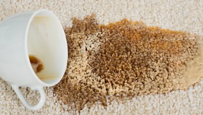 Rug care | Endwell Rug & Floor