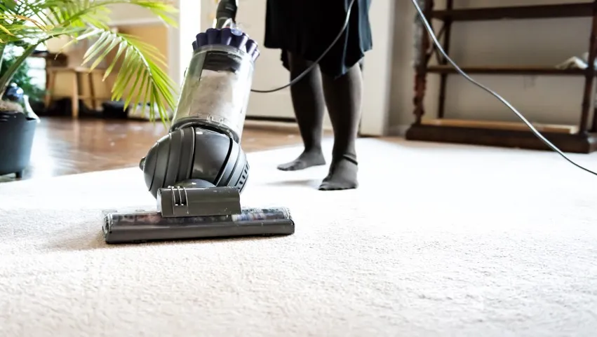 Carpet care | Endwell Rug & Floor