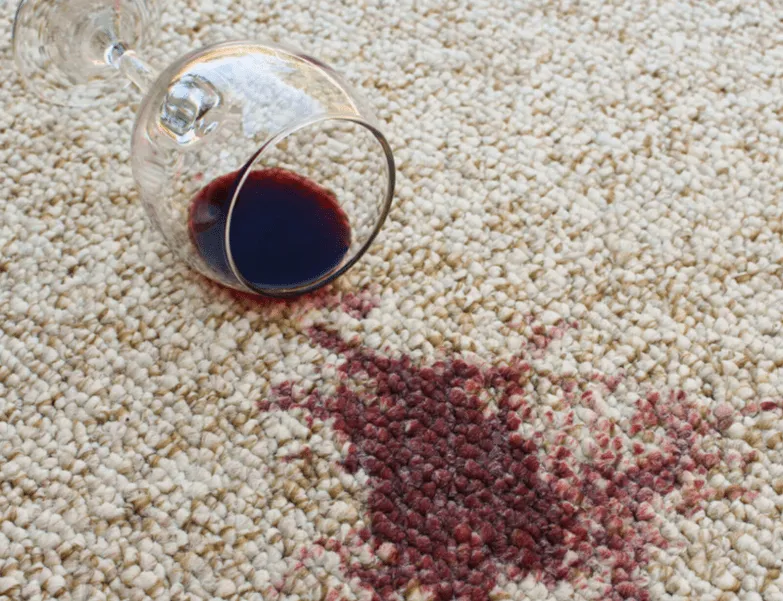 Carpet care | Endwell Rug & Floor